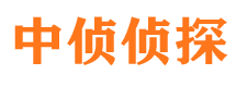 崇阳找人公司